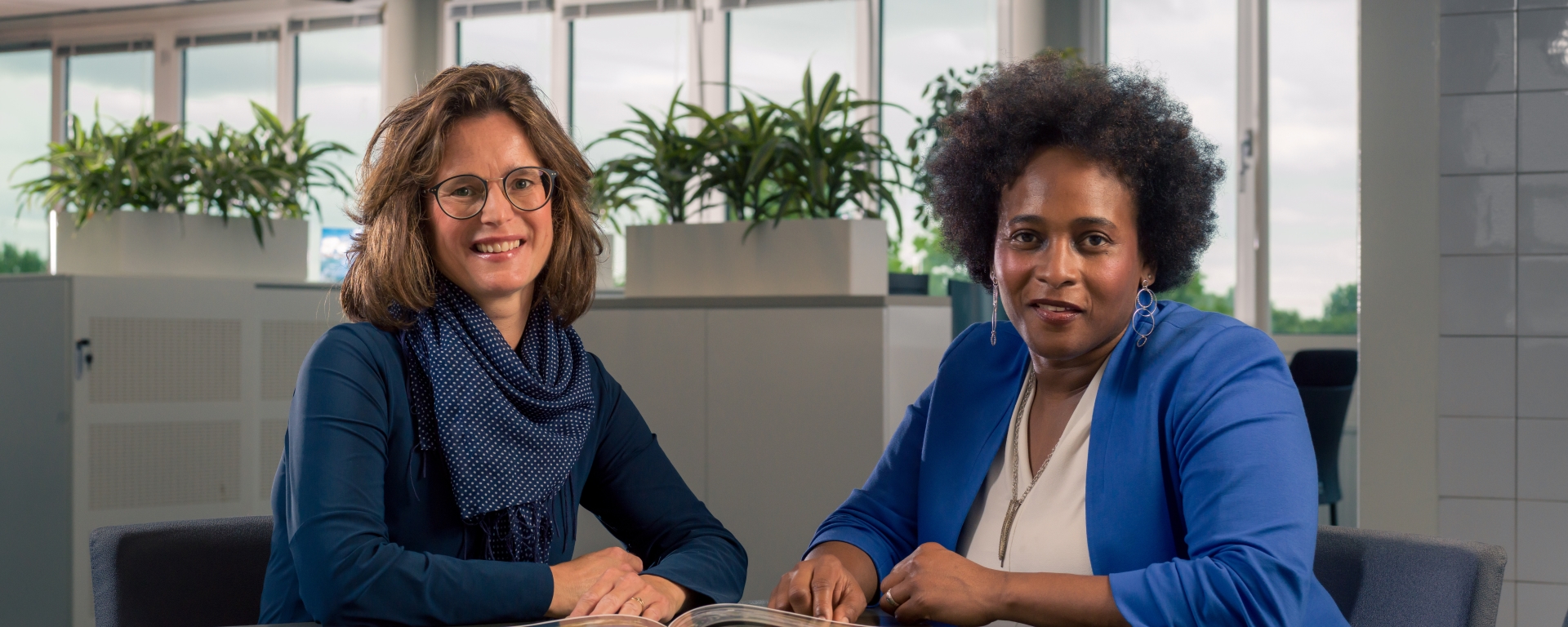 Procesregisseur ( huiselijk geweld en kindermishandeling) Zorg- en Veiligheidshuis Flevoland