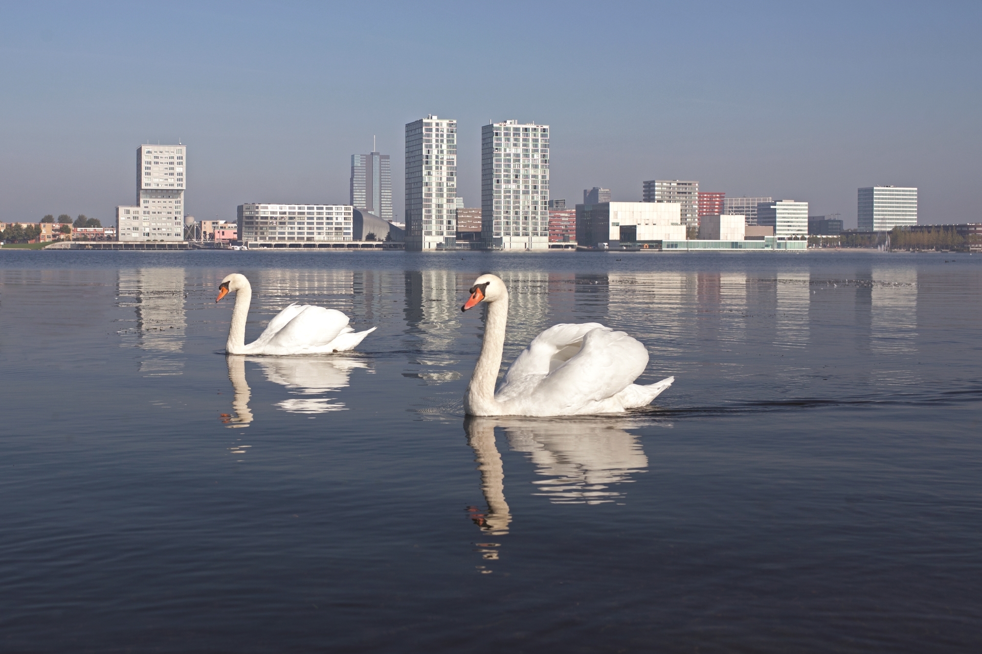 Werken voor Almere